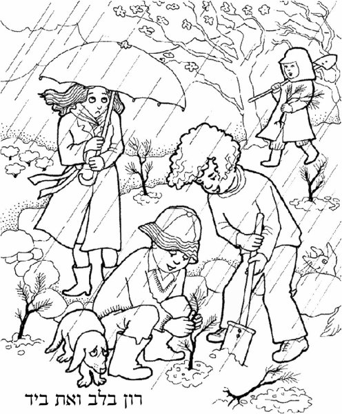 Осенне весенние раскраски