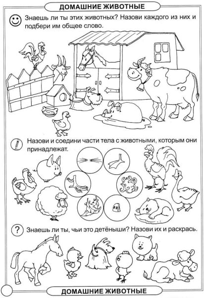 Домашние животные задания для дошкольников 6-7 лет