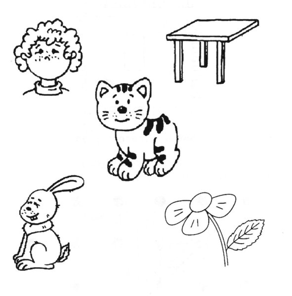 Задания для детей дошкольников