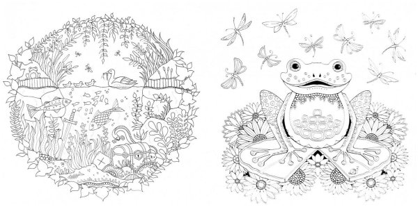 Раскраски антистресс Джоанна Басфорд