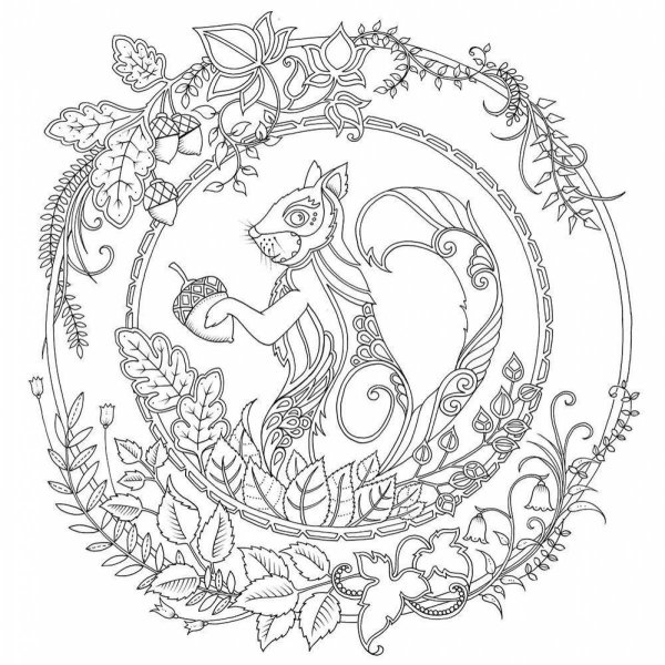 Зачарованных лес Джоана Бэсфорд