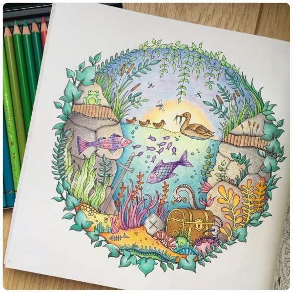 Джоанна Басфорд Зачарованный лес Раскрашенные