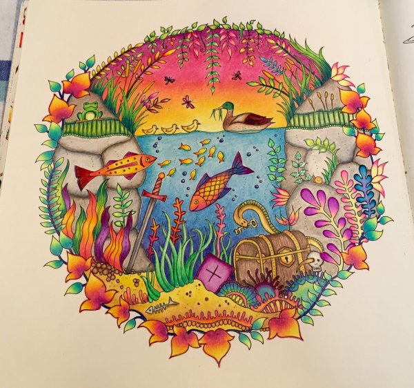 Johanna Basford Enchanted Forest