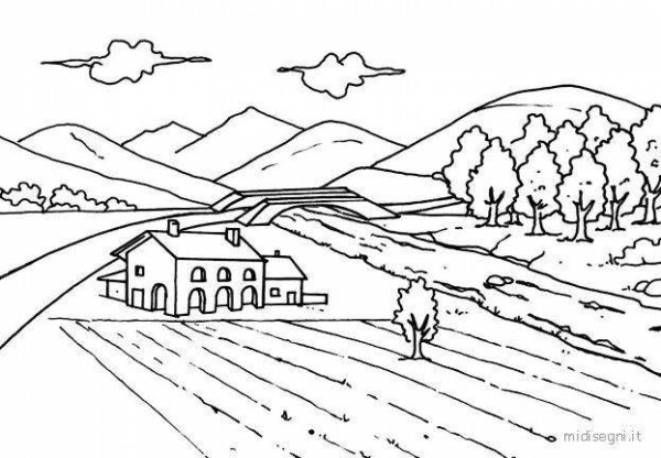 Поле раскраска для детей