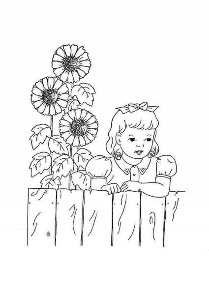 Поле подсолнухов раскраска