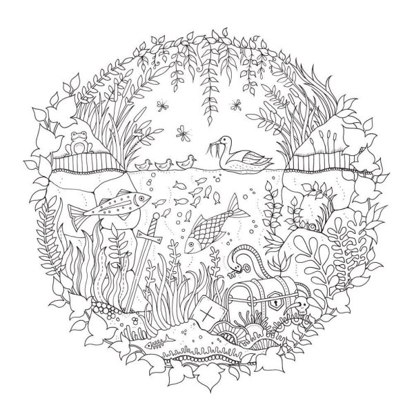 Раскраски антистресс Джоанна Басфорд