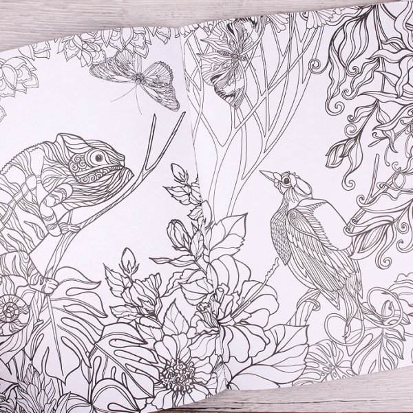 Раскраска антистресс таинственный лес