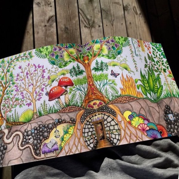 Джоанна Басфорд таинственный сад Зачарованный лес