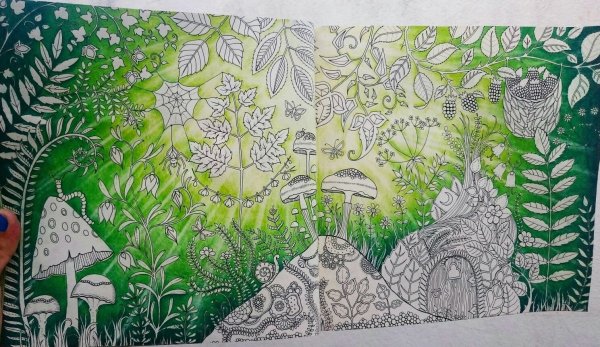 Таинственный лес Джоанны Басфорд