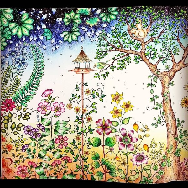 Джоанна Бэсфорд таинственный сад Раскрашенная