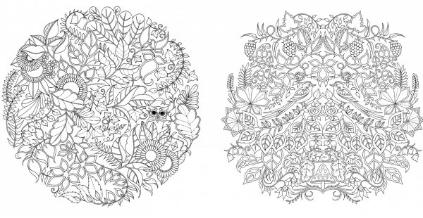 Таинственный сад Бэсфорд