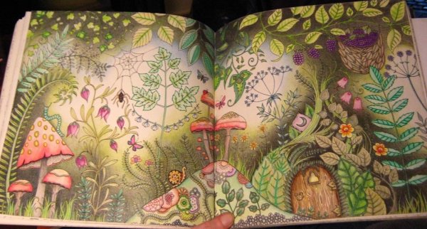 Johanna Basford Enchanted Forest