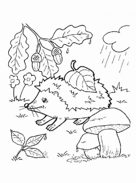 Осенние раскраски для малышей