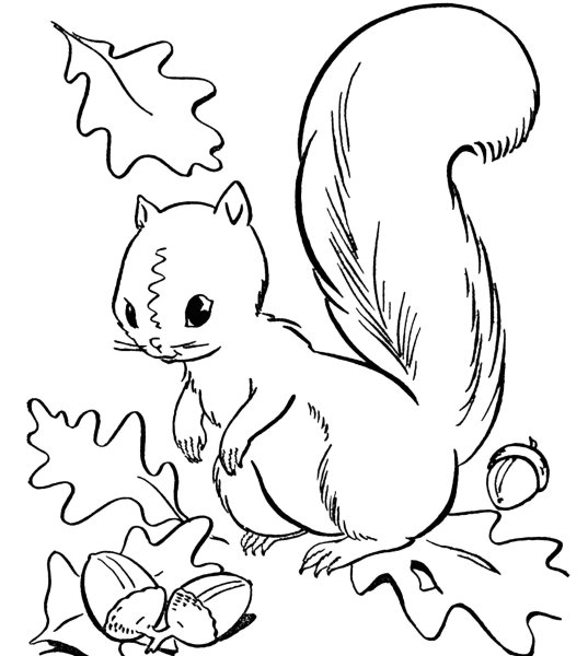 Осенняя раскраска