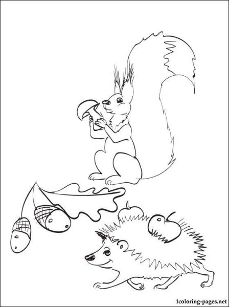 Раскраска осень звери