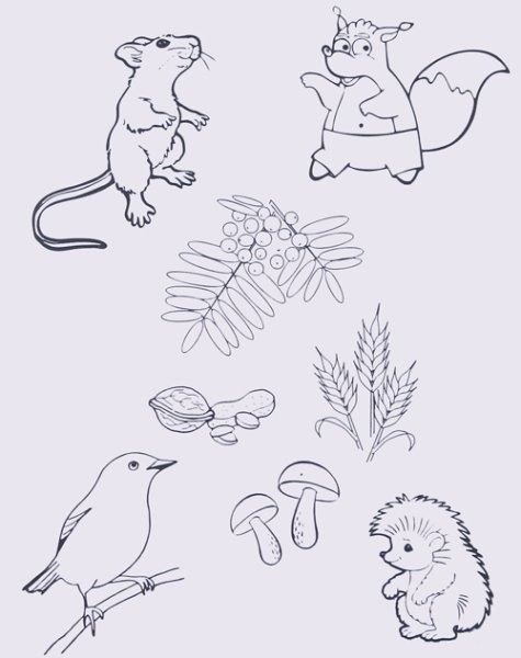 Задания для детей осень животные