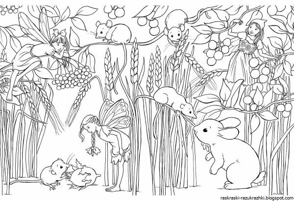Раскраска природа