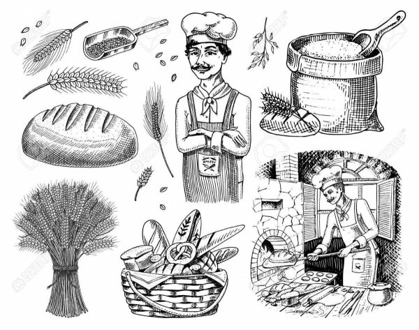 Хлеб раскраска для детей с заданиями