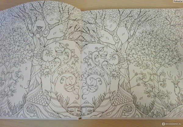 Раскраска заколдованный лес раскрашивания