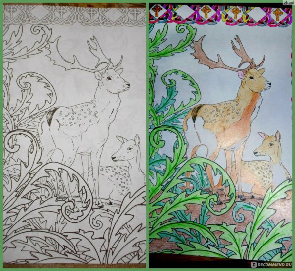 Раскраска загадочный лес