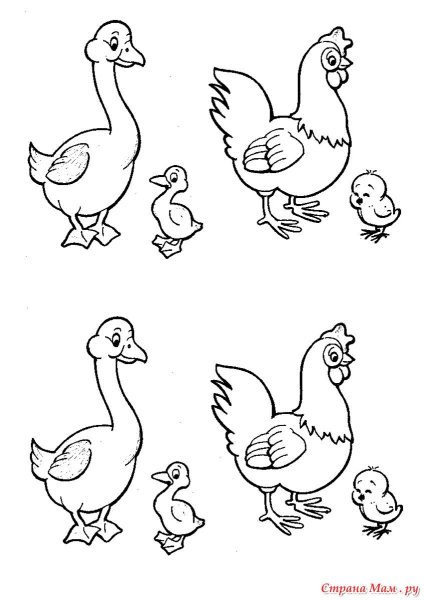 Раскраски сравнение большой маленький