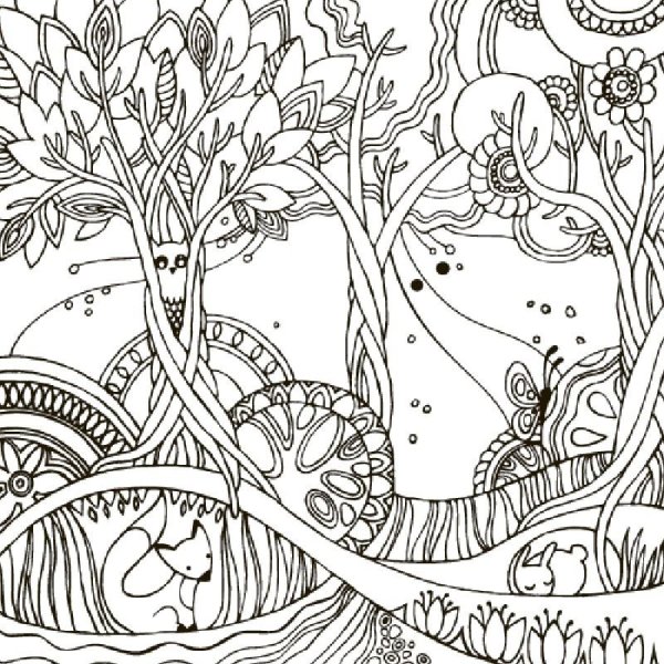 Раскраска Волшебный лес