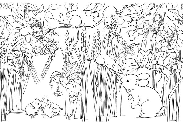 Раскраска природа