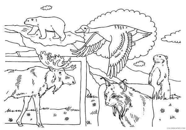 Раскраска. Мир животных