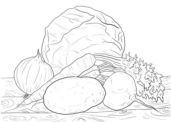 Осенние овощи раскраска