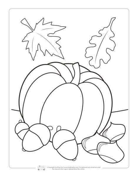 Осенние дары раскраски для детей