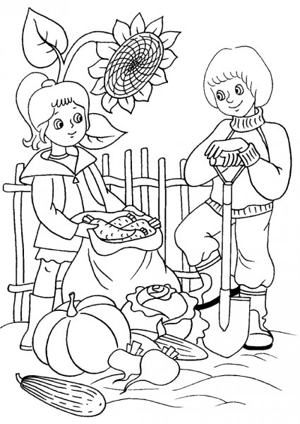Раскраски сбор урожая осенью для детей