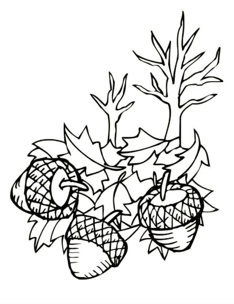 Раскраски осень для детей 5-6 лет