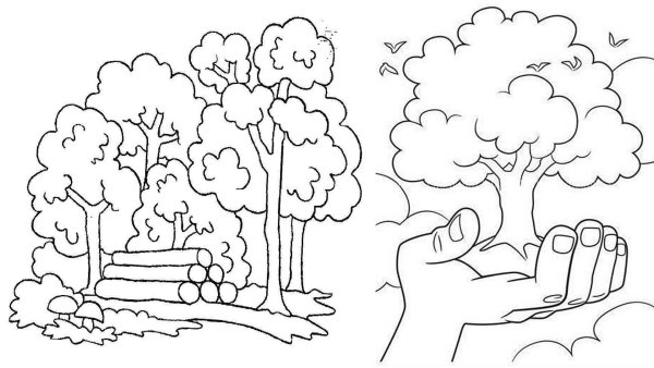 Плакат берегите растения для раскрашивание