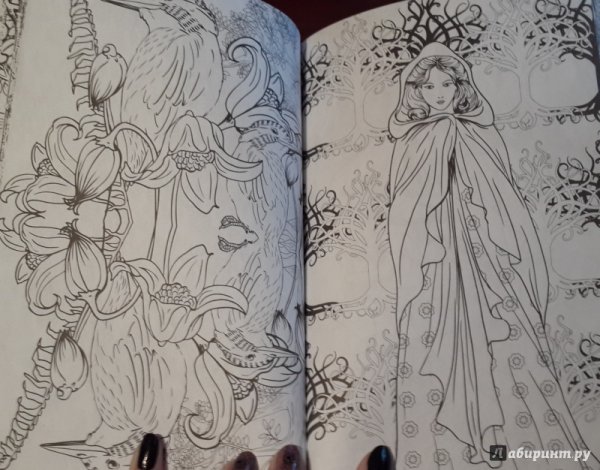 Раскраска загадочный лес