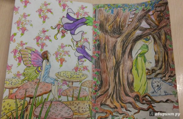 Раскраска загадочный лес