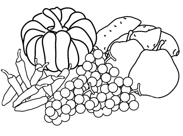 Дары осени раскраска