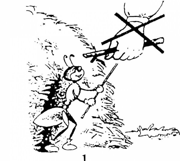 Раскраска правила поведения в природе для детей