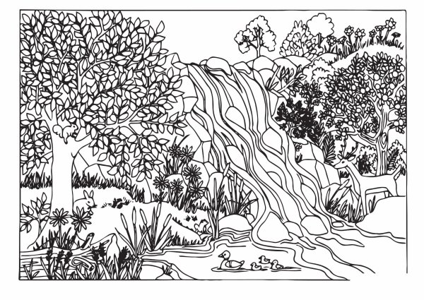 Раскраска природа