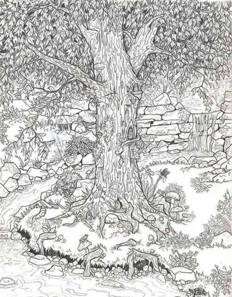 Раскраски для взрослых природа