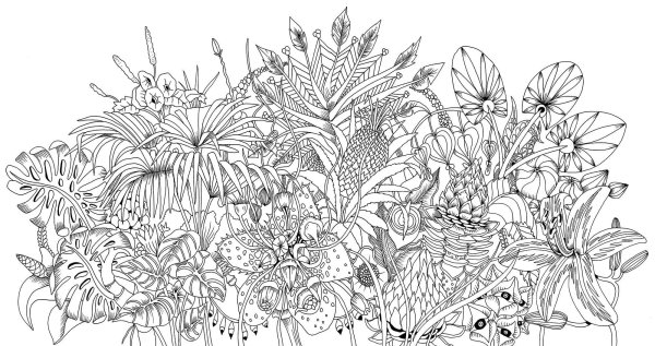 Раскраска антистресс природа