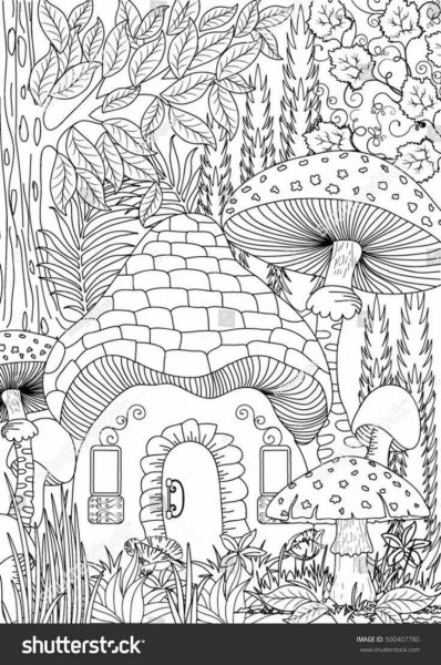 Раскраска "сказочный лес"