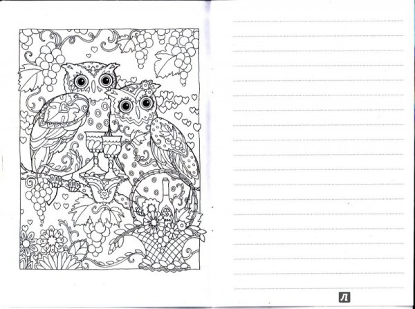 Раскраски в личный дневник