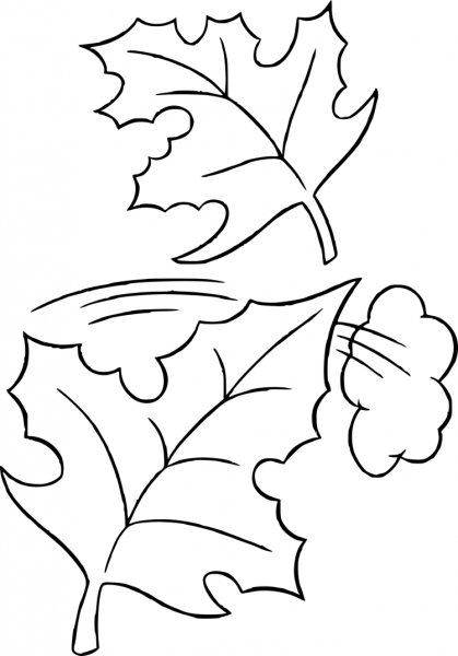 Осенняя раскраска