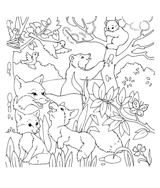 Лесные животные раскраска для детей