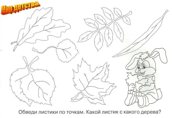 Осенние задания для дошкольников