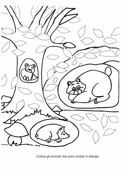 Раскраска звери готовятся к зиме