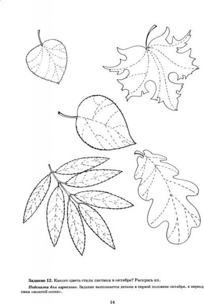 Заштрихуй листья