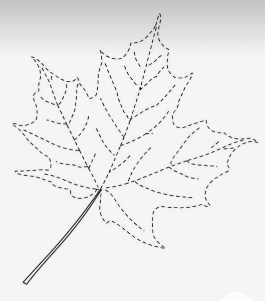 Листья обводка