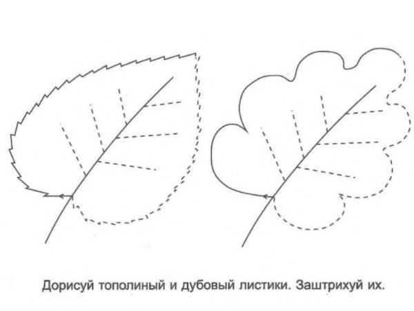 Штриховка листья