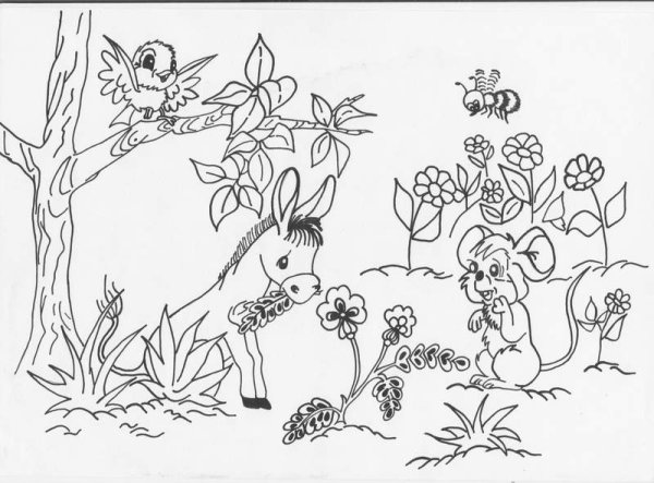 Лесная Полянка раскраска